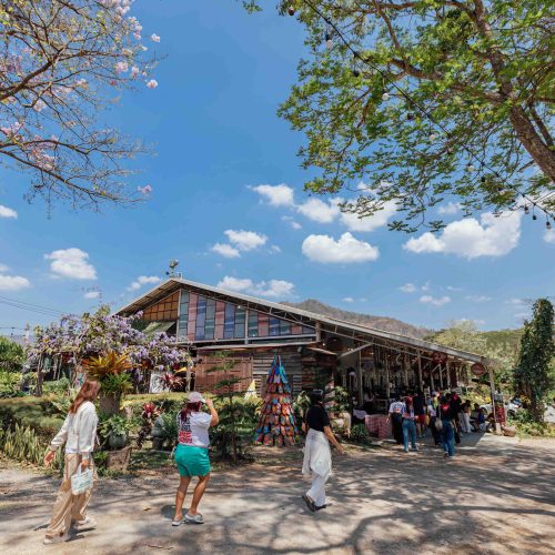 จัดouting_Alchemy_2026