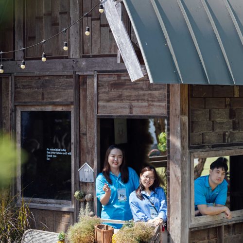จัดouting_transmedic_2026