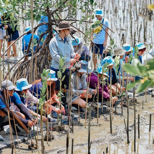 จัดCSR_ZIM_2026