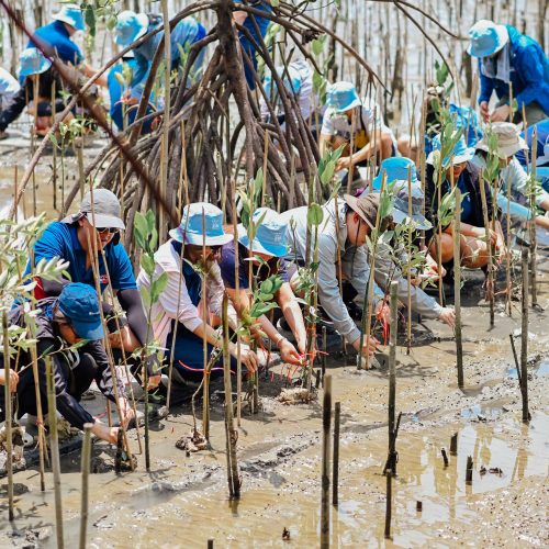 จัดCSR_ZIM_2026